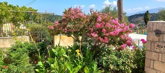 Traditional Country House with Shared Terrace, Wi-Fi, and Air Conditioning