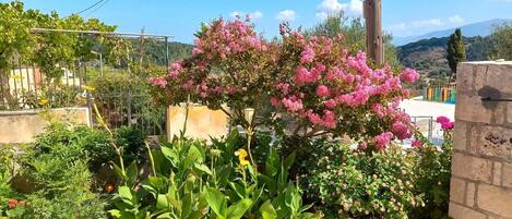 Àrea exterior de l'allotjament