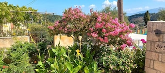 Maison de campagne «Traditionnelle» avec terrasse partagée, Wi-Fi et climatisation