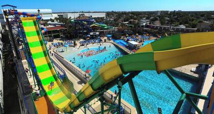 Harbour Beach Resort 305 | Oceanfront Daytona Retreat w/Amenities