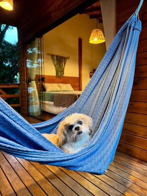 Lumira House - Superior - Bombinhas/SC | Free WiFi