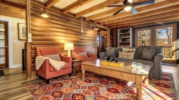 Smart TV, fireplace, books