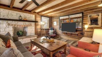 Smart TV, fireplace, books