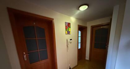 BIZAR Hostel in Izabelin-DziekanĂłwek