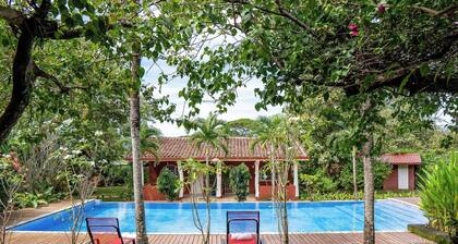 Room-serene Tamarindo Retreat With Share
