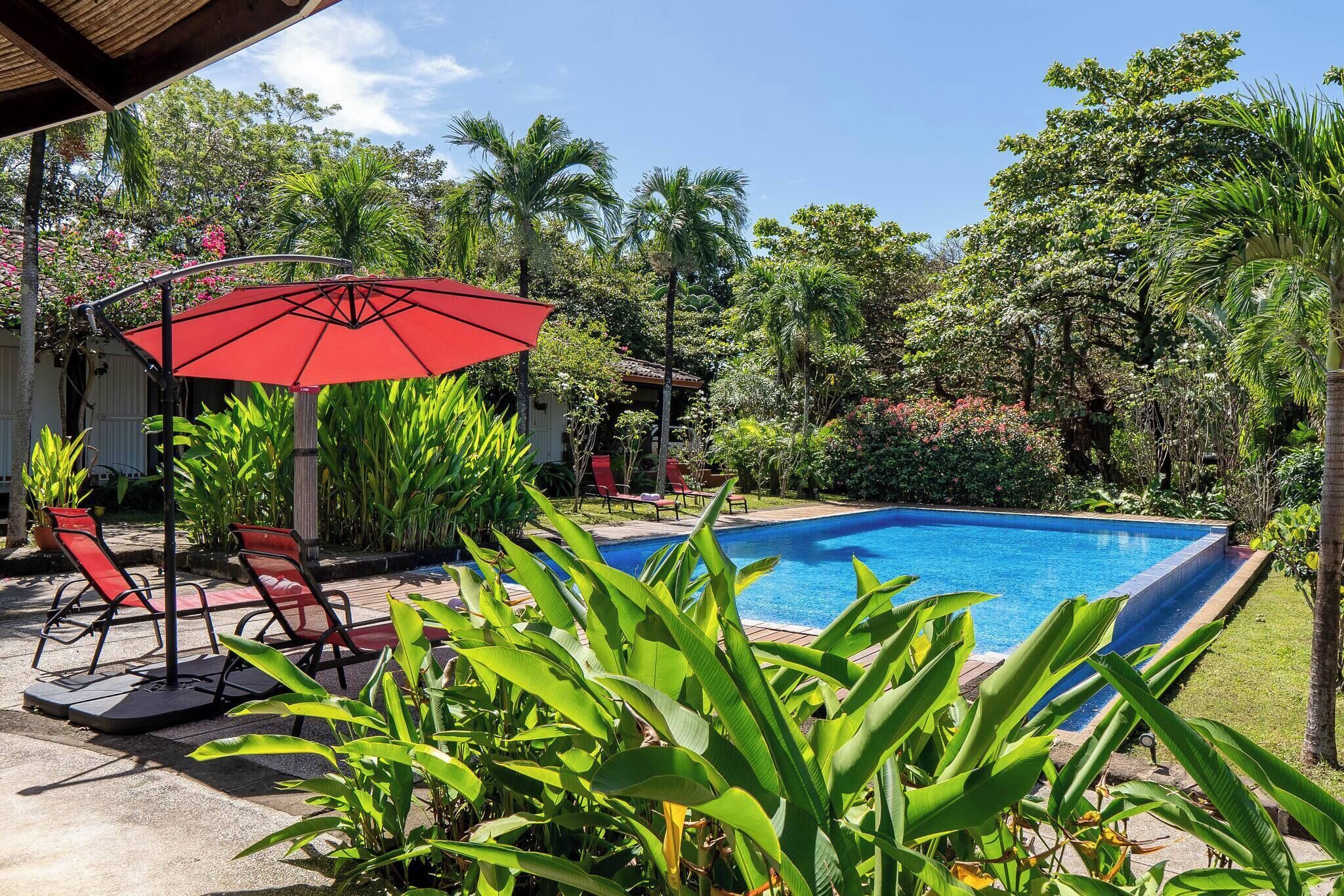 Room, 1 Bedroom, Accessible, Terrace | Pool | Outdoor pool