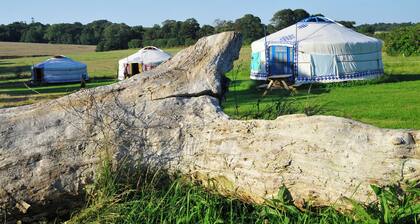 yourtes et roulotte de la LaĂŻta en bord de mer