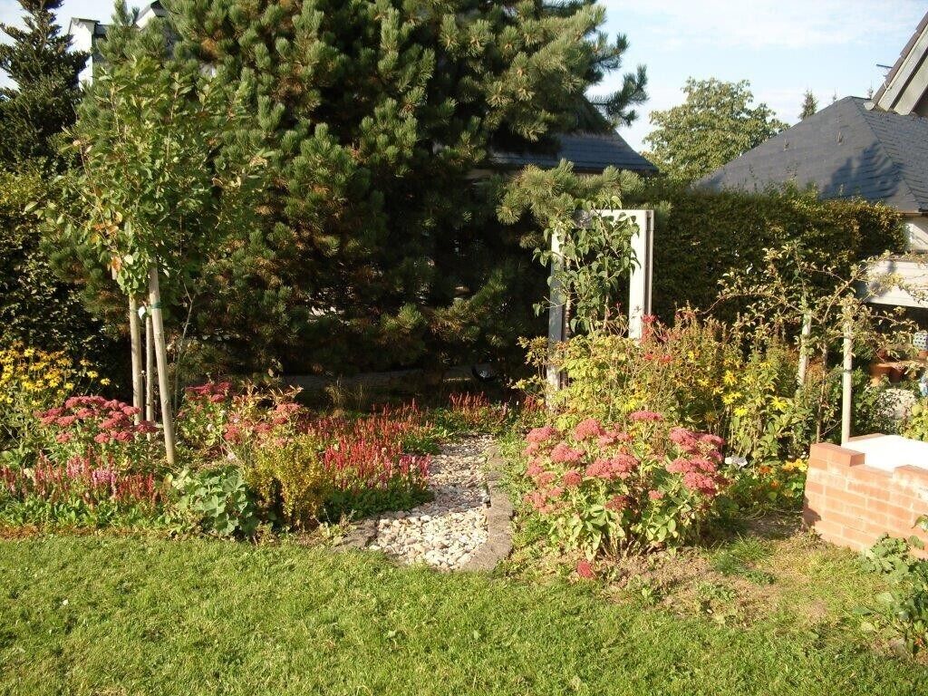 Un jardin avec un chemin de gravier, différentes plantes et un grand arbre.