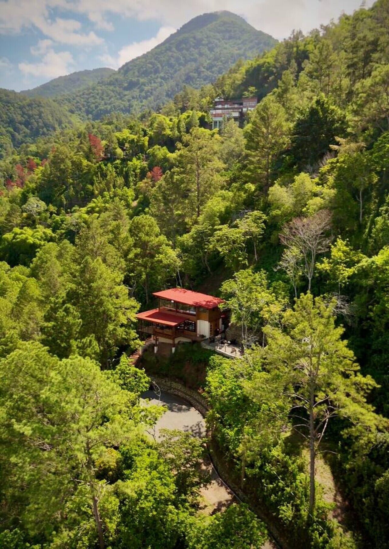 A secluded cabin surrounded by dense forest, with a clear view of the surrounding mountains.