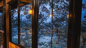 A room with large windows, a fireplace, and a view of trees.