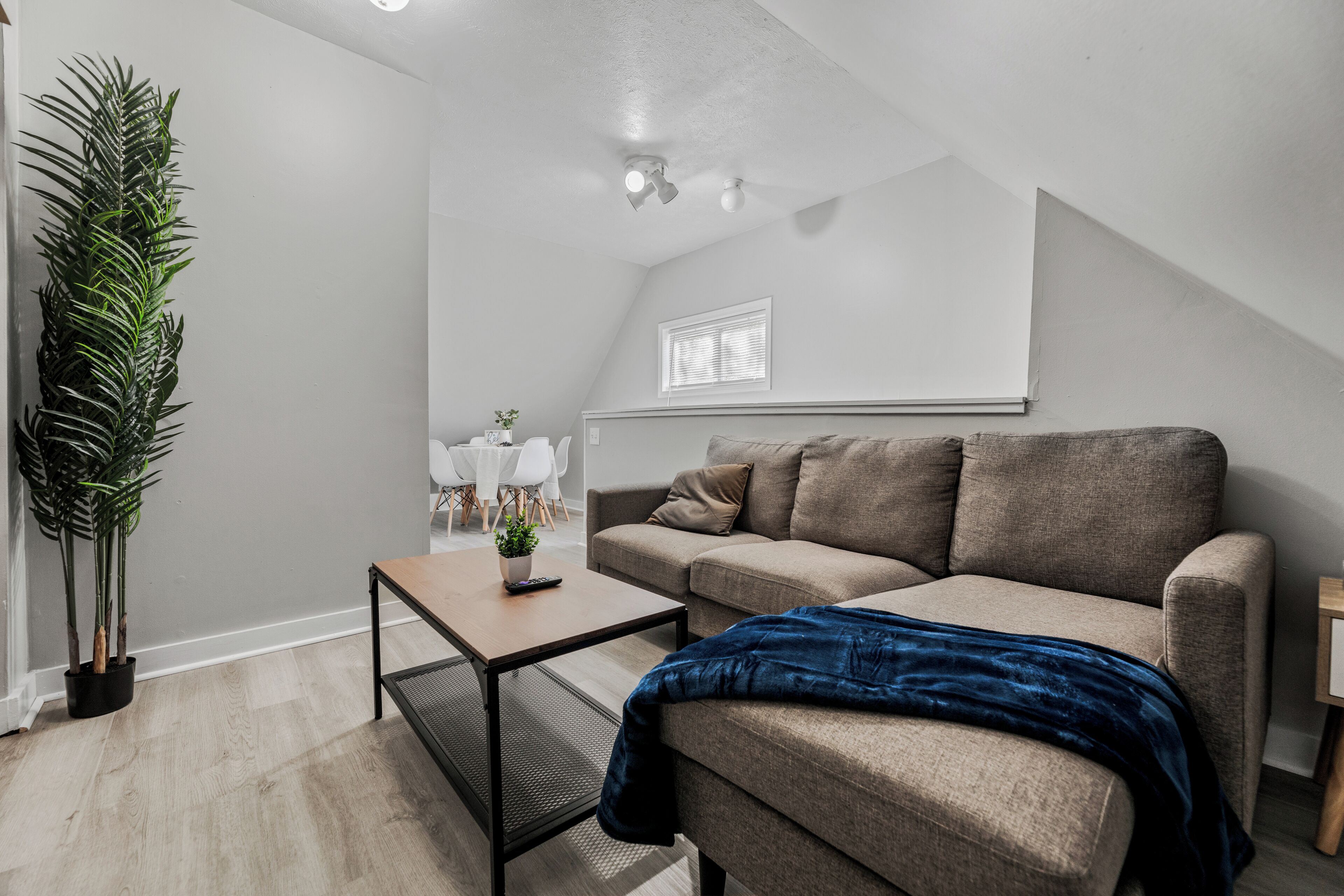 A modern living room with a sofa, a coffee table, and a potted plant.