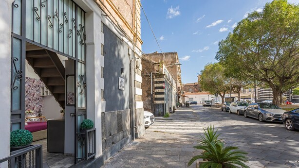 A street view with parked cars, a staircase leading to a building, and a tree-lined sidewalk.