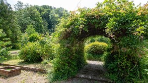 Un chemin de briques traverse un jardin luxuriant et mène à une arche également construite en briques.