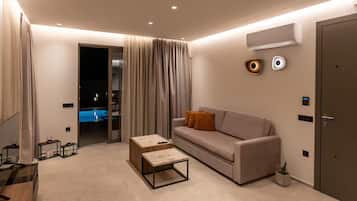 Smart TV, fireplace, books