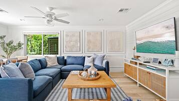 Televisor intel·ligent, llar de foc i llibres