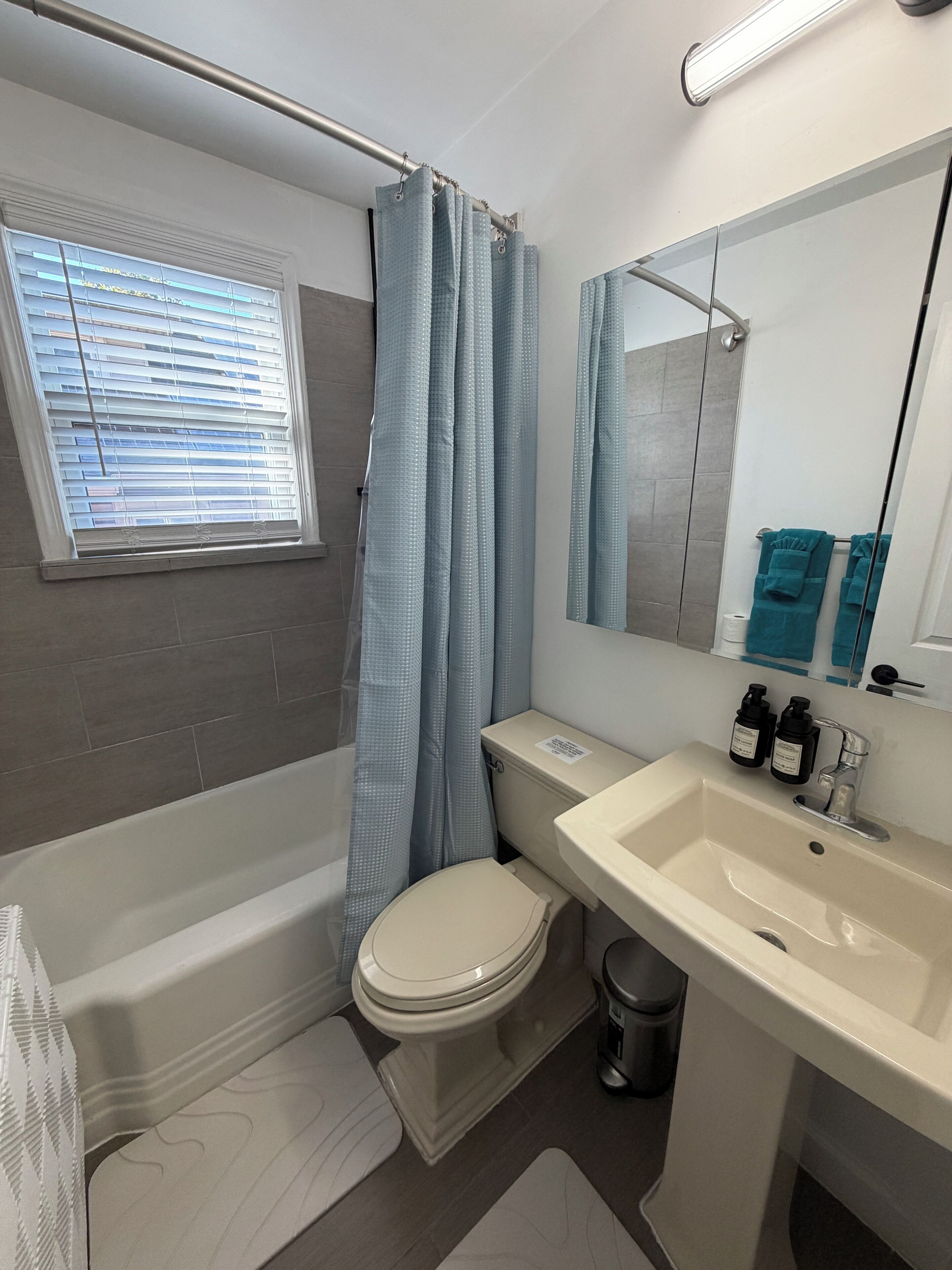 Hair dryer, towels, soap, shampoo