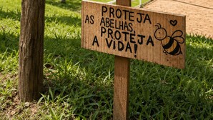 A wooden signpost with environmental education messages and a beehive structure. - Hotel Fazenda Águas de Lindóia (Águas de Lindóia)