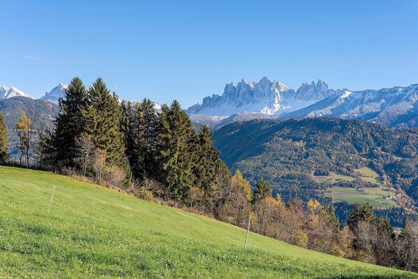 A mountainous landscape with snow-capped peaks, a grassy foreground, and dense forest. - Studio Apartment 'Zolerhof Alpenrose' with Mountain View, Shared Terrace and Wi-Fi (Feldthurns)