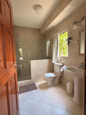Dusche, Haartrockner, Handtücher, Seife