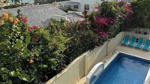 Pool - Marvelous 3-bedroom Apartment in Villa, Beautiful Pool, Steps from Surf & Ocean (Atlantic Shores)