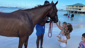 Een strandbeeld met een paard, mensen en boten op de achtergrond.