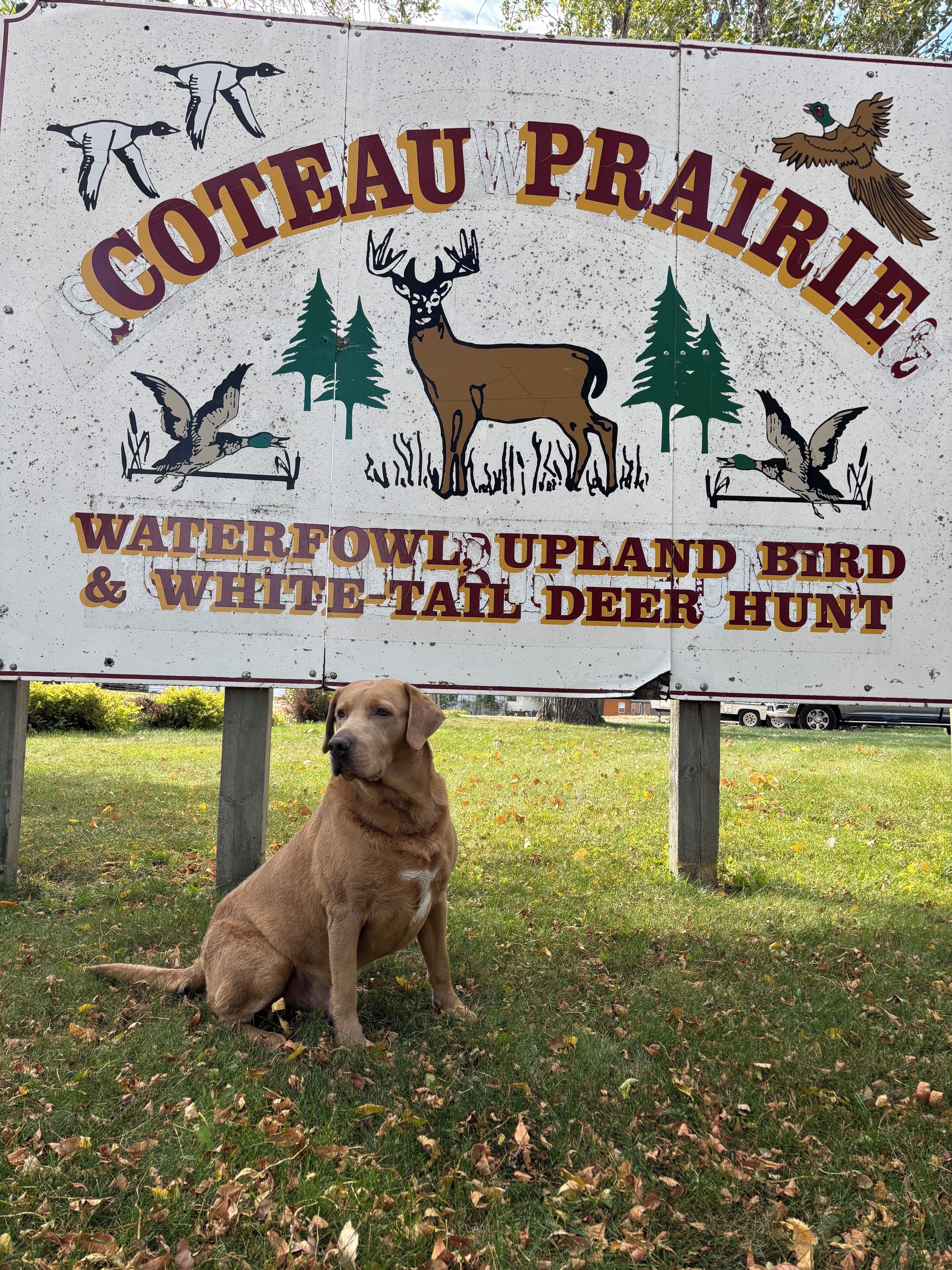 A sign for Coteau Prairie featuring waterfowl, upland bird, and white-tailed deer hunting.