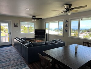 Smart TV, video games, computer monitors