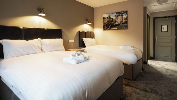 A hotel room with two beds, a headboard, wall-mounted lamps, a framed picture, and a door. - Pairc House Hotel (Birmingham)
