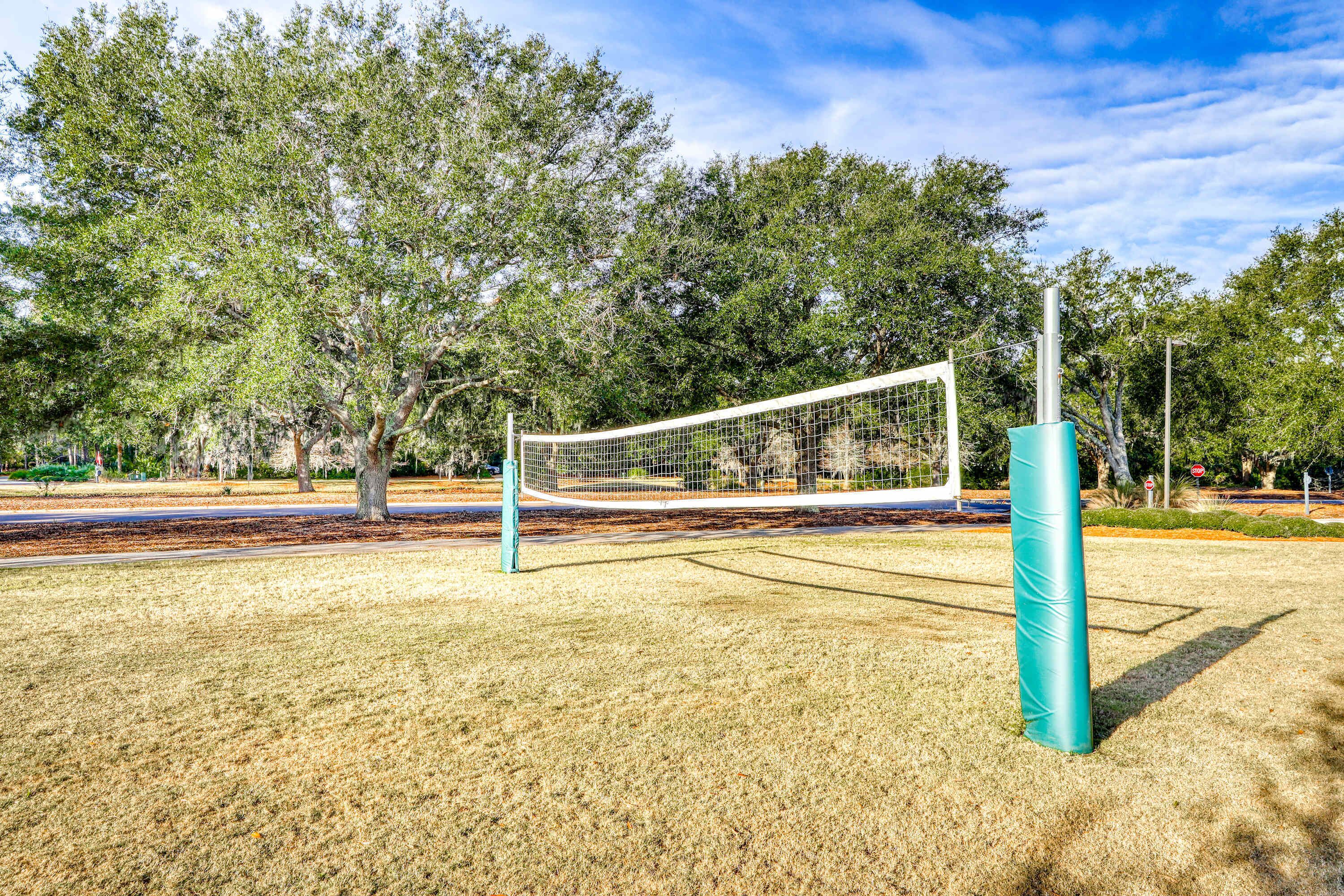 A volleyball net in a park with trees and a road in the background.