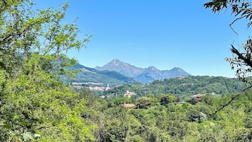Esterni