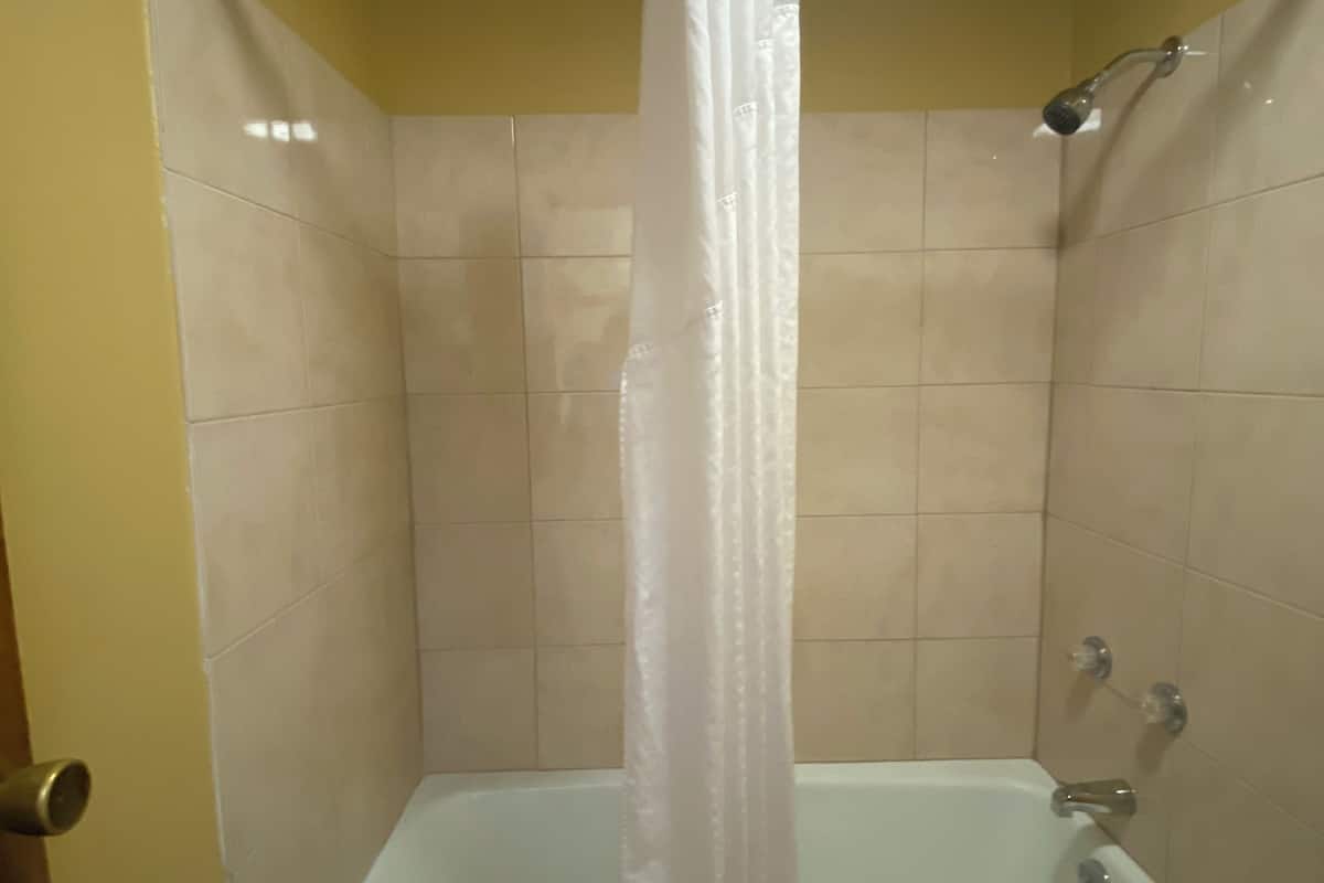 Serviettes fournies, savon, shampooing, papier de toilette