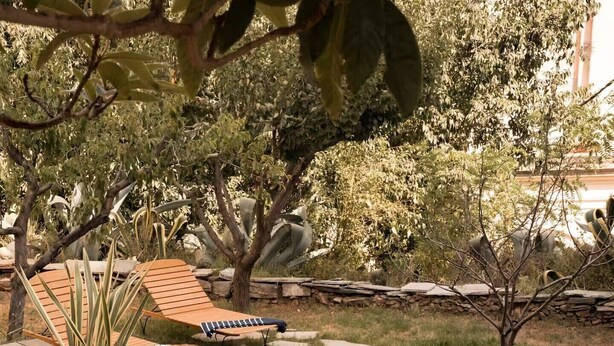 A swimming pool with a stone border, surrounded by grass and a few trees. - Montera Apartment with Pool (Bastia)