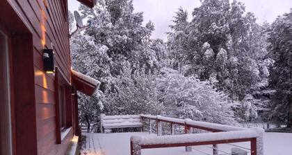 Modern, spacious house for 8 people in a native Patagonian forest