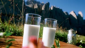 Två glas mjölk står på en träyta med ett bergigt landskap i bakgrunden.