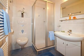 Shower, hair dryer, towels