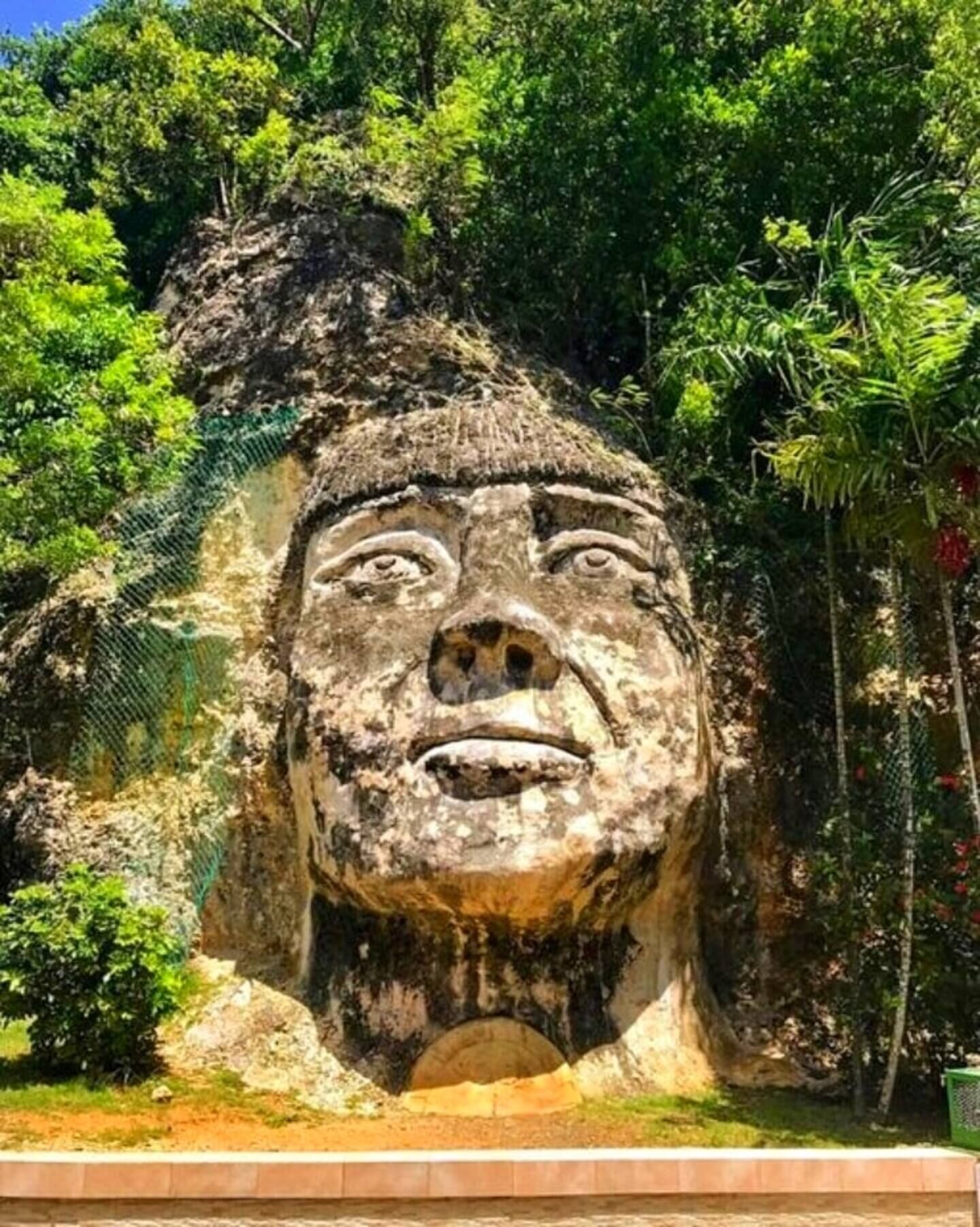 Una gran escultura de pedra d'un rostre amb un headress, envoltada de vegetació abundant.
