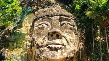 Una gran escultura de pedra d'un rostre amb un headress, envoltada de vegetació abundant.