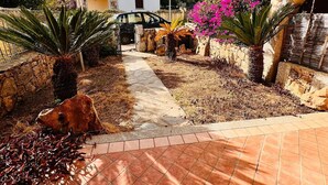 Un patio con un sendero pavimentado, muros de piedra y diversas plantas, incluyendo buganvillas y agave.