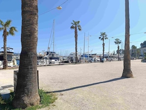 A marina with boats docked, palm trees, and a clear sky.
