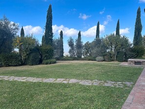 المنطقة المحيطة بالمنشأة