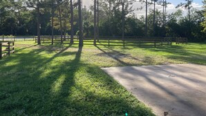 A grassy area with wooden benches and a concrete path.