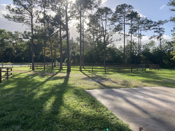 Property grounds - My Happy Place: Spacious 4-bedroom house with AC in Loxahatchee Groves (Loxahatchee Groves)