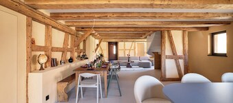 The incredible Alsatian house of the 21st century