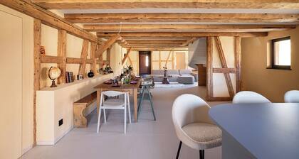 The incredible Alsatian house of the 21st century