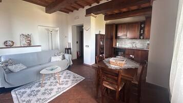 Télévision, cheminée, table de tennis de table