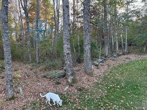 المنطقة المحيطة بالمنشأة