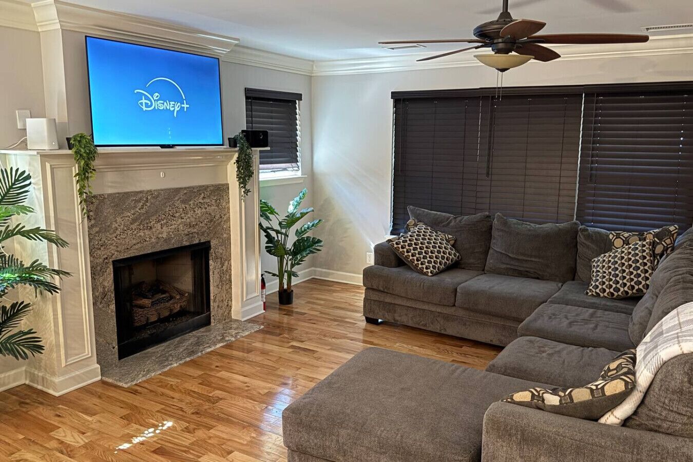 Televisio, takka, pöytätennispöytä, kirjoja