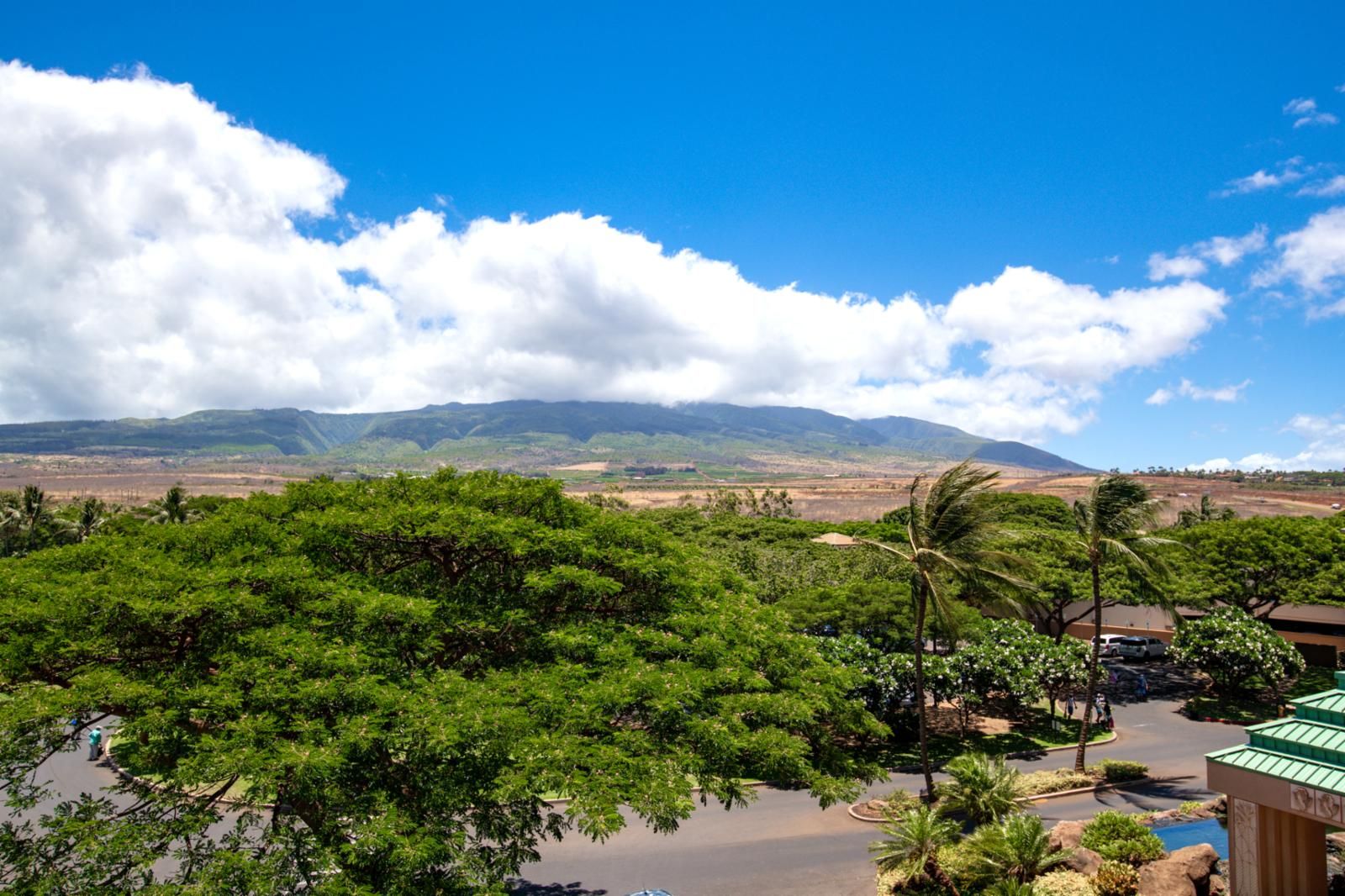 A lush landscape with a mountain in the background, a parking area, and a building with a green roof.