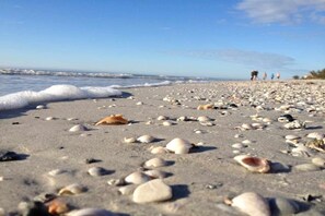 Am Strand