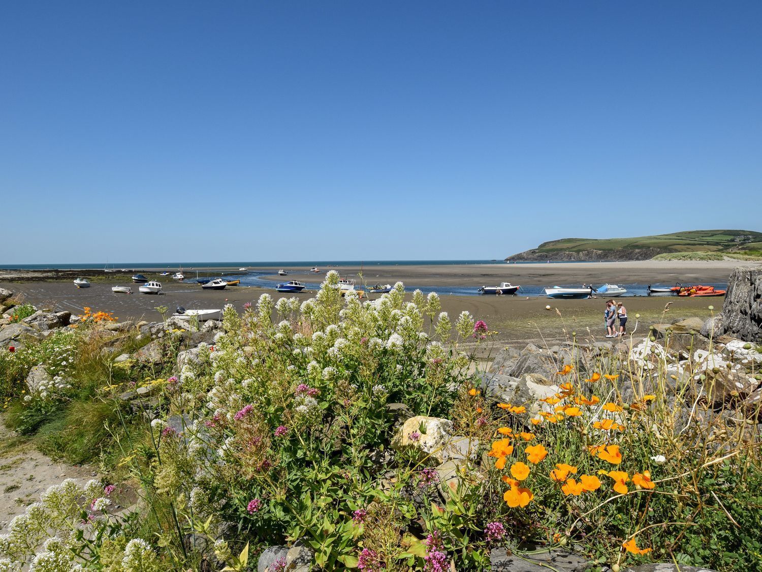 A coastal area with boats on the beach and various plants in the foreground.
